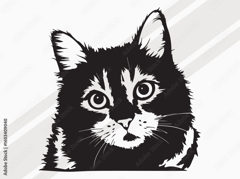 Obraz premium Detailed Black and White Fluffy Cat Face Illustration with Large Eyes and Diagonal Stripe Accents for Pet Portrait Art