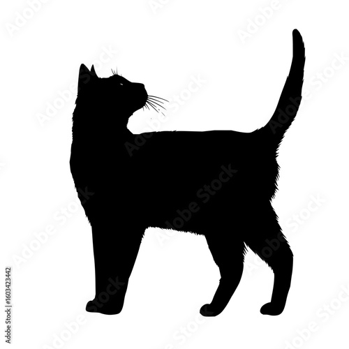 Silhouette of a cat standing with its tail up and looking to the left with a white background image
