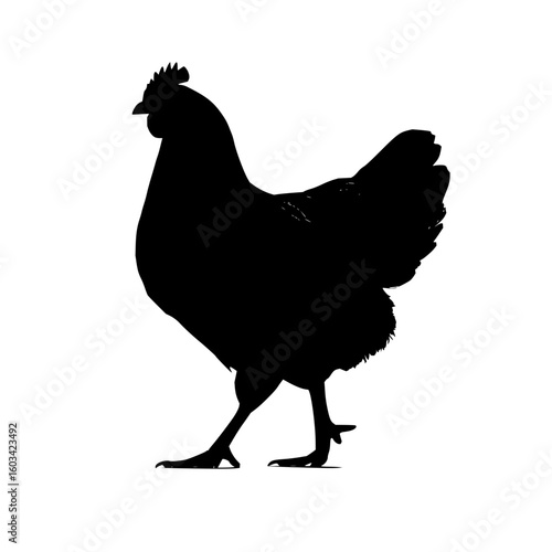 Silhouette of a chicken standing with its head up and feathers visible in a side profile on a white background