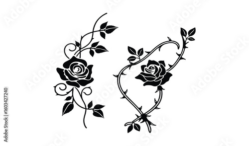 Elegant black silhouette of two blooming roses entwined with thorny branches and delicate leaves
