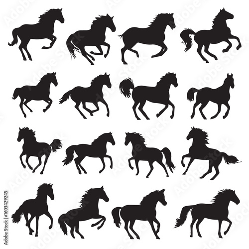 vector illustration of bucking horse silhouette set, Black & White silhouette set