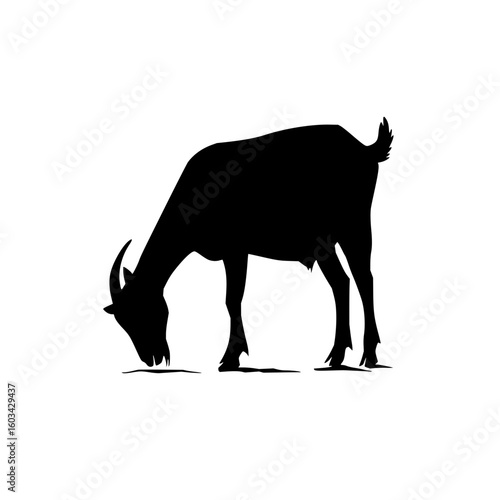Silhouette of a goat grazing in an urban park