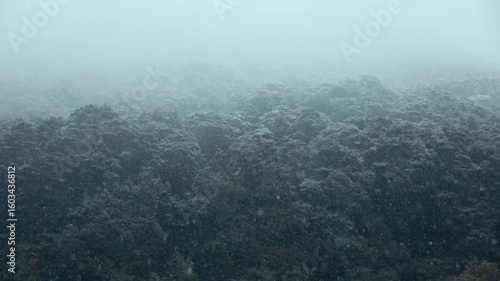 a snowy day in the mountains of New Zealand