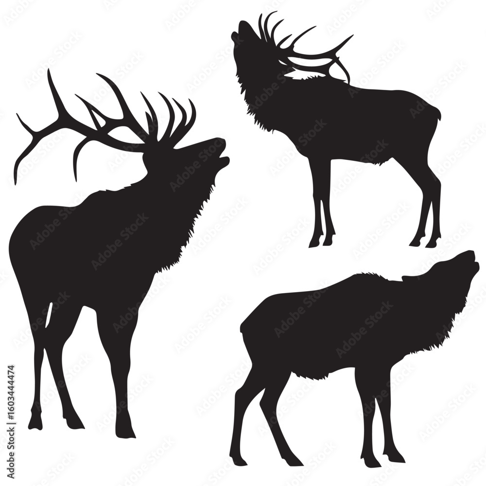 Naklejka premium vector illustration of bugling elk silhouette set, Black & White silhouette set