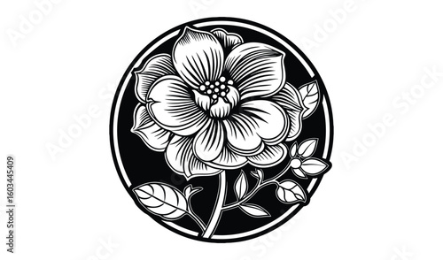 Elegant vintage black and white illustration of a blooming dogwood flower within an oval frame