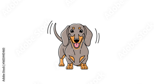 Illustration of a dachshund with gray fur and brown markings standing with its tail wagging happily