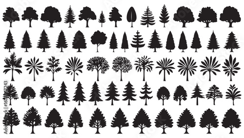 Diverse Tree Silhouettes A Vector Collection Displaying Various Tree Shapes and Foliage Styles for Landscape Design and Nature Themed Projects