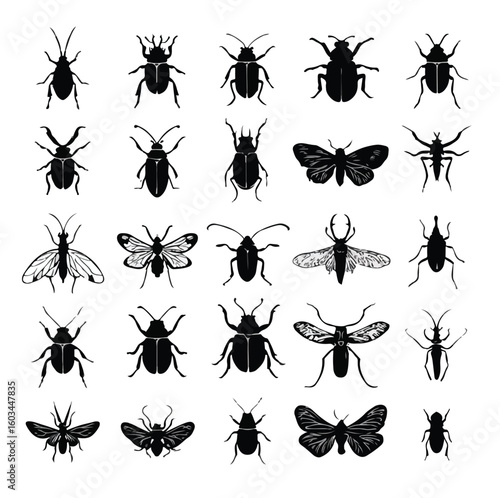 vector illustration of bugs silhouette set, Black & White silhouette set