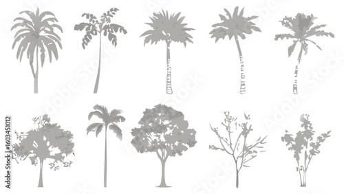 Silhouetted Tropical Tree Collection in Gray Tones A Variety of Palm and Broadleaf Trees Create a Natural Forest or Garden Landscape