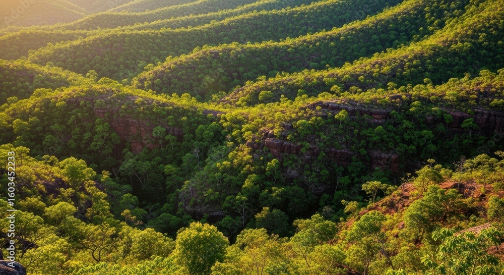 Fototapeta premium Untouched Rolling Green Hills with Lush Forest, Kakadu