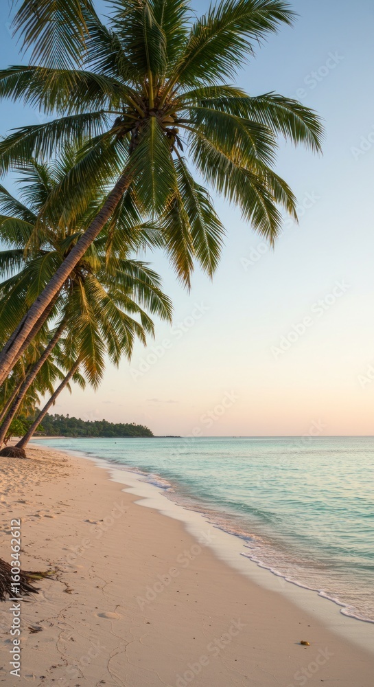 Obraz premium Tropical beach at sunrise