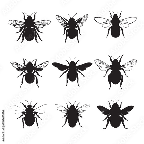 vector illustration of bumble bee silhouette set, Black & White silhouette set