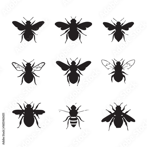 vector illustration of bumble bee silhouette set, Black & White silhouette set