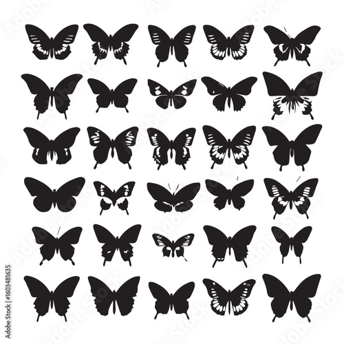 vector illustration of butterfly wings silhouette set, Black & White silhouette set
