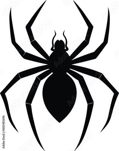 Black spider, a creepy insect arachnid vector illustration, isolated on a white background