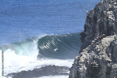 Wave Break on the Coast