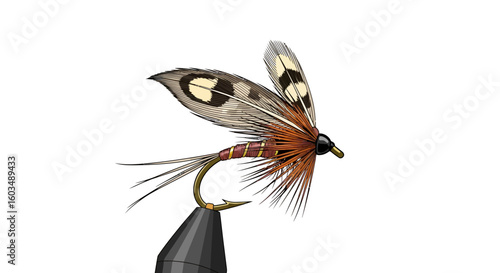 Detailed depiction of a classic fishing fly with intricate feather and fur detailing artwork