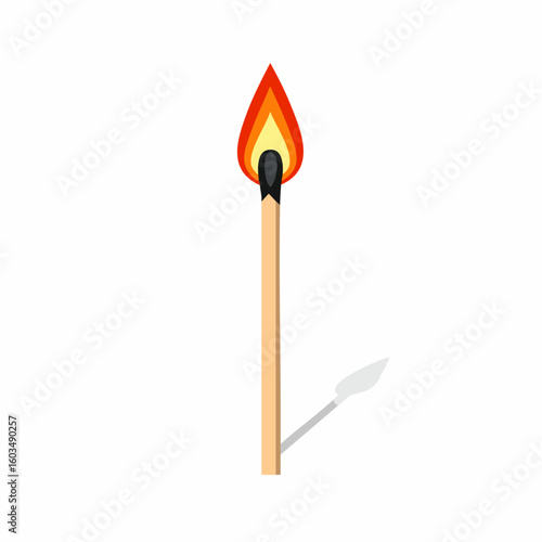 Used matchstick – Burnt matchstick with blackened tip lying flat.

