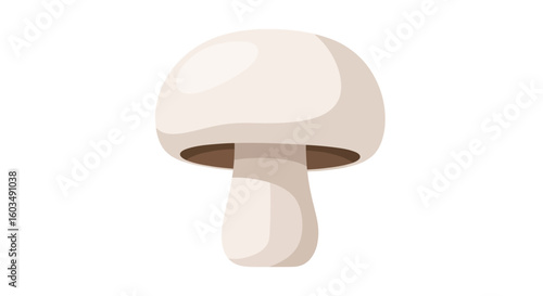 Isolated champignon mushroom, showcasing its culinary versatility, its natural form, and its nutritional benefits  perfect for dietary and cooking