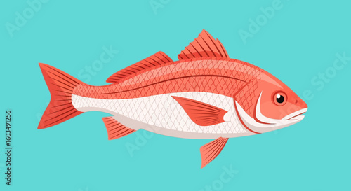 Crimson aquatic life illustration: a stylized depiction of a coral-colored fish swimming in tranquil blue waters representing marine fauna and