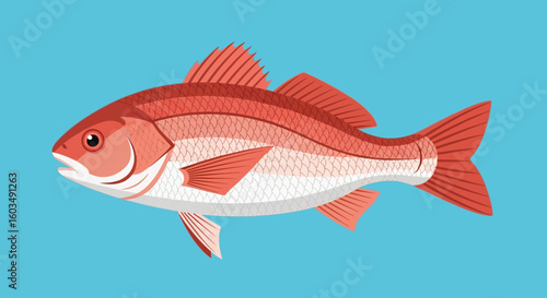 Vibrant underwater portrayal displaying stylized fish swimming across a tranquil turquoise backdrop with clean vector graphic rendering the aquatic