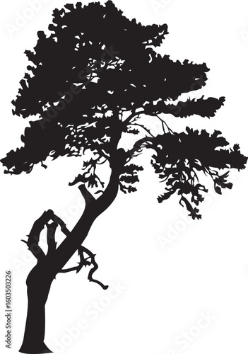 sketch vector illustration silhouette image design icon logo symbol tree plant hanging full of leaves artistic unique abstract modern ethnic traditional floral natural classical