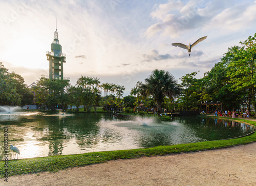 Mangal das Garças em Belém do Pará