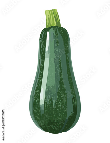 Organic Green Zucchini Cooking Food - Vector Illustration