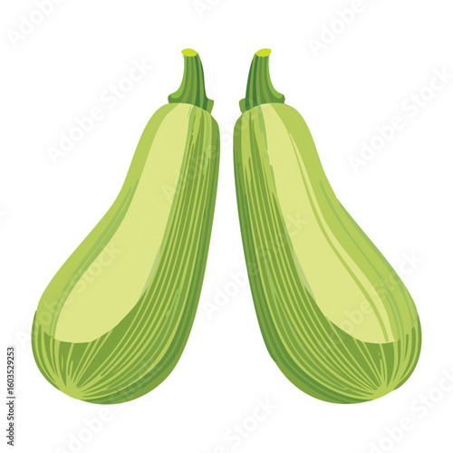 Fresh Green Whole Zucchini Healthy Food - Vector Illustration
