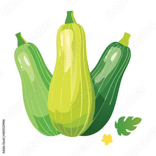 Healthy Green Zucchini Vegetable Fresh Produce - Vector Illustration