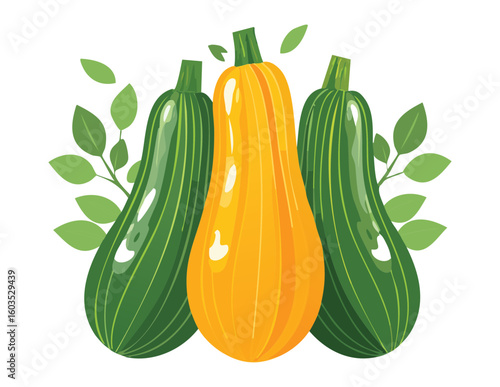 Assorted Zucchini Squash Mix Fresh Harvest - Vector Illustration