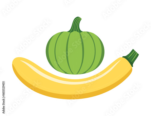 Assorted Green Squash Zucchini Healthy Food - Vector Illustration