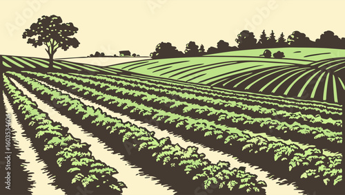 Vector Illustration of a Farm Field with Crops and Trees.