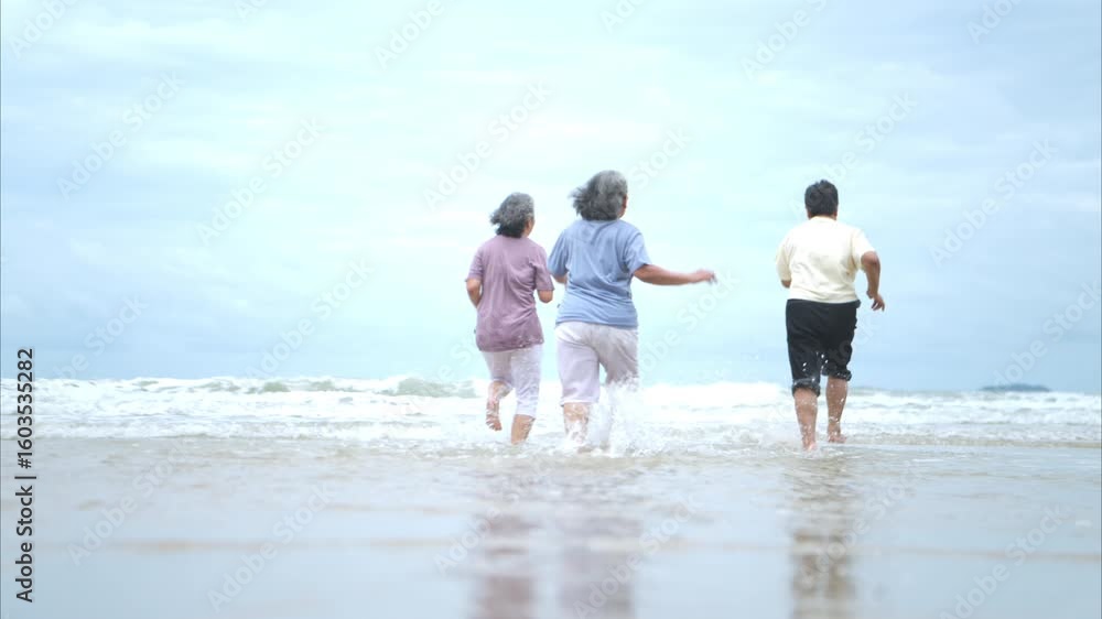 Happy senior women enjoying a playful walk on the beach, running and holding hands as they splash through the waves together Happy senior women enjoying a playful walk on the beach, running and holding hands as they splash through the waves together