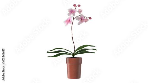 Wallpaper Mural A potted orchid with delicate pink flowers and green leaves, adding beauty to indoor spaces. Torontodigital.ca