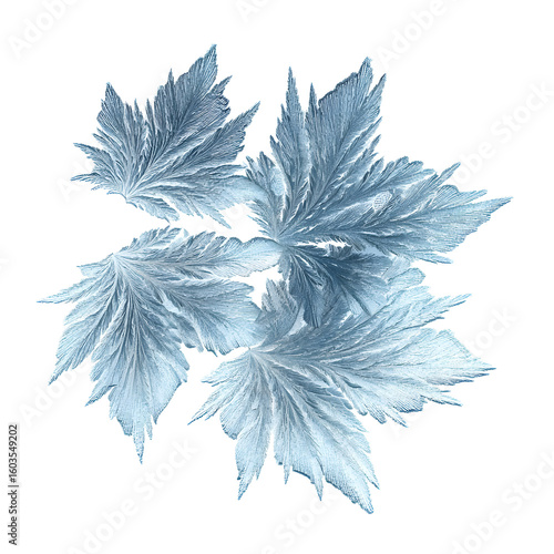 Intricate frost patterns on leaves, a stunning example of natural winter art