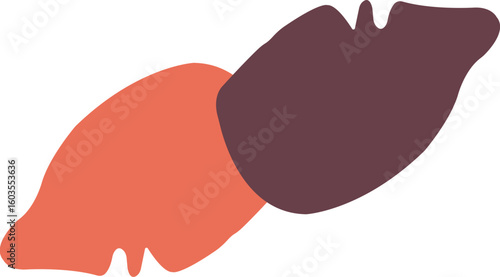 Stylized human liver illustration. A simple, flat vector graphic icon of the internal organ for medical and scientific concepts.