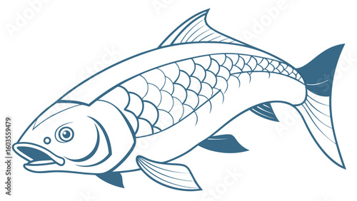 Stylized Illustration of a Swimming Fish with Detailed Scales.