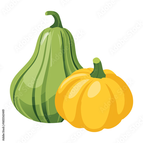 Green Yellow Squash Pair - Vector Illustration