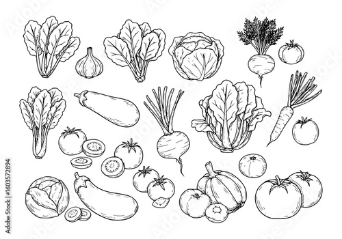 Fresh vegetable harvest illustration for healthy eating and cooking recipes, perfect for food blogs