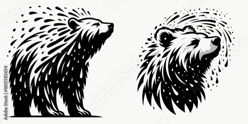 Bear shaking water off. Retro Cartoon Clipart Silhouette Stock Vector Line Art Illustration. Wild animal flinging liquid away body motion after swim near lake.