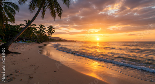 Tropical Beach at Sunset with Palm Trees and Golden Reflections