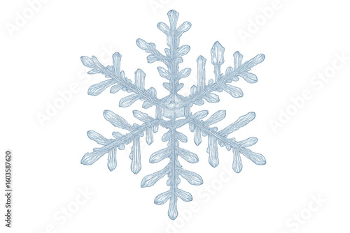 Intricate ice crystal snowflake growing, forming beautiful frozen patterns on a transparent background