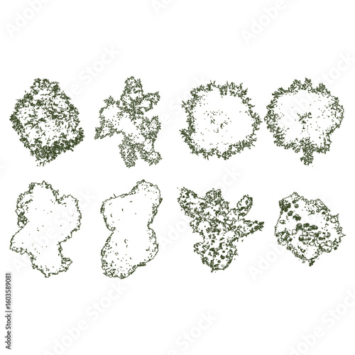 Botanical Garden Layout Top View Plan for Landscape Architecture and Urban Design Project
