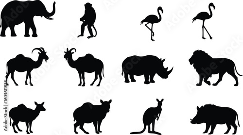 Diverse animal silhouettes including elephant, camel, lion, flamingo, monkey, rhino, kangaroo, warthog, and more