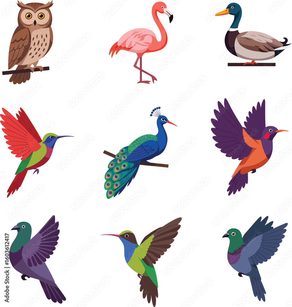 Fototapeta premium Stunning collection of diverse, vibrant birds including owl, flamingo, peacock, hummingbirds, and pigeon