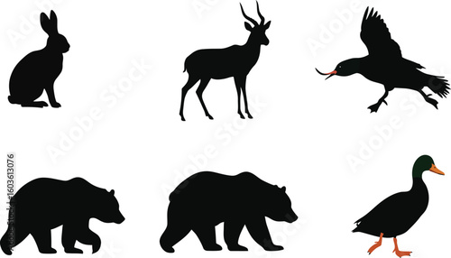 Stunning collection of diverse animal silhouettes for your next creative project