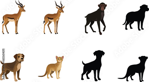 Collection of diverse animals including gazelles, dogs, cats, and meerkats in flat design