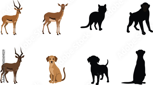 Diverse animals including gazelle, monkey, dog, and cat with silhouette companions