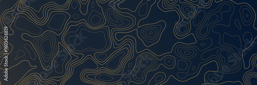 Artistic topographic design featuring winding lines on a dark background